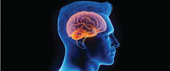 Brain tumor surgery cost in india (5) display